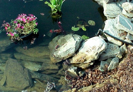 potted plants and rocks slid into the lower pond