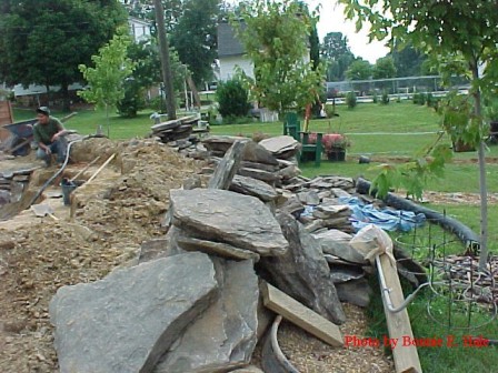 The collapse of my pond