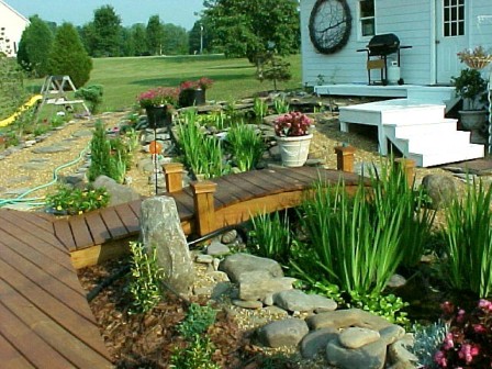 Bridge, streambed holds many bog plants