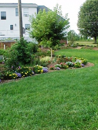 My color theme is pink, yellow, blue and purple