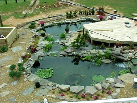 Deck and middle and lower pond