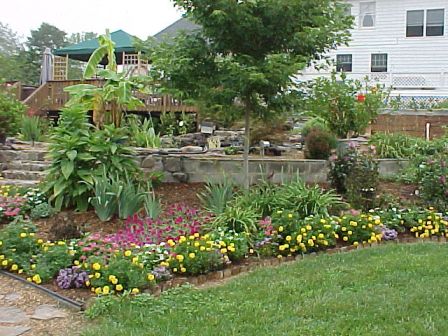 Wall and flower bed on the back side of the pond