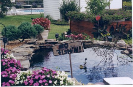 Potted plants around the middle pond